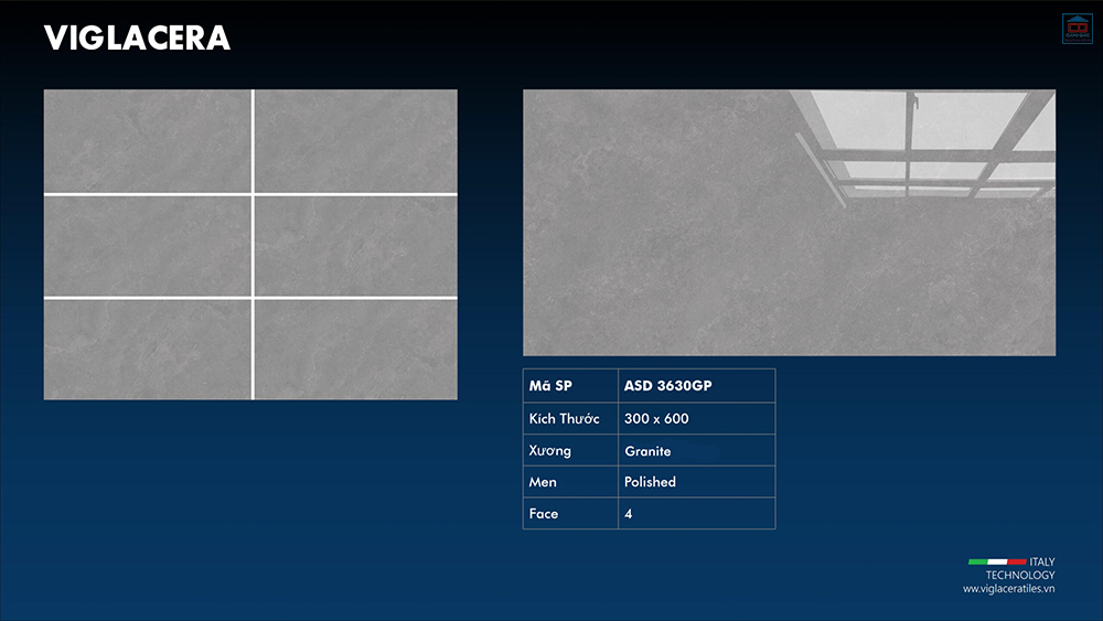 Viglacera ASD 3630GP