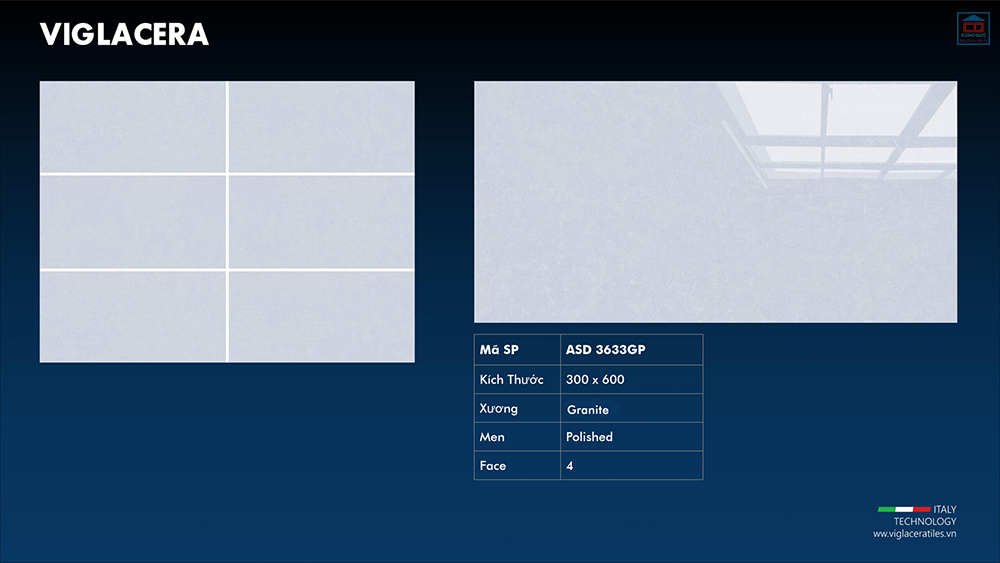 Viglacera ASD 3633GP