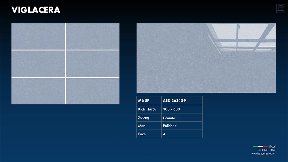 Viglacera ASD 3634GP