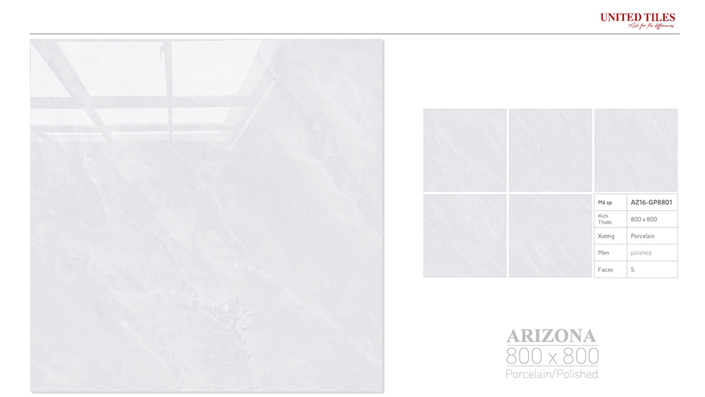 Arizona VGC-AZ16-GP8801