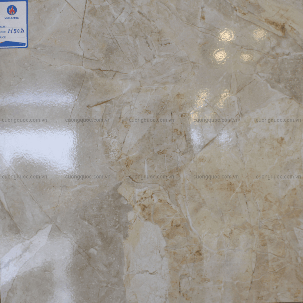 Gạch lát sàn ceramic Viglacera H502