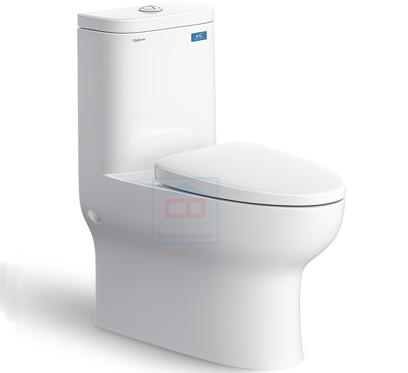 Bồn cầu 1 khối Viglacera V848