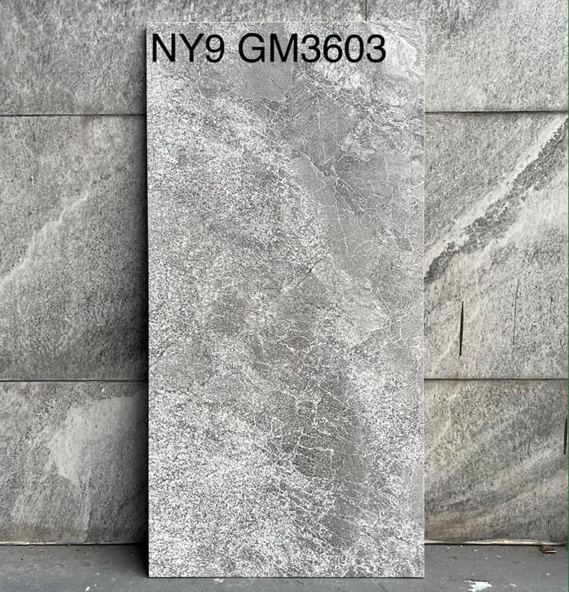Gạch ốp lát 30x60 Viglacera NY9-GM3603