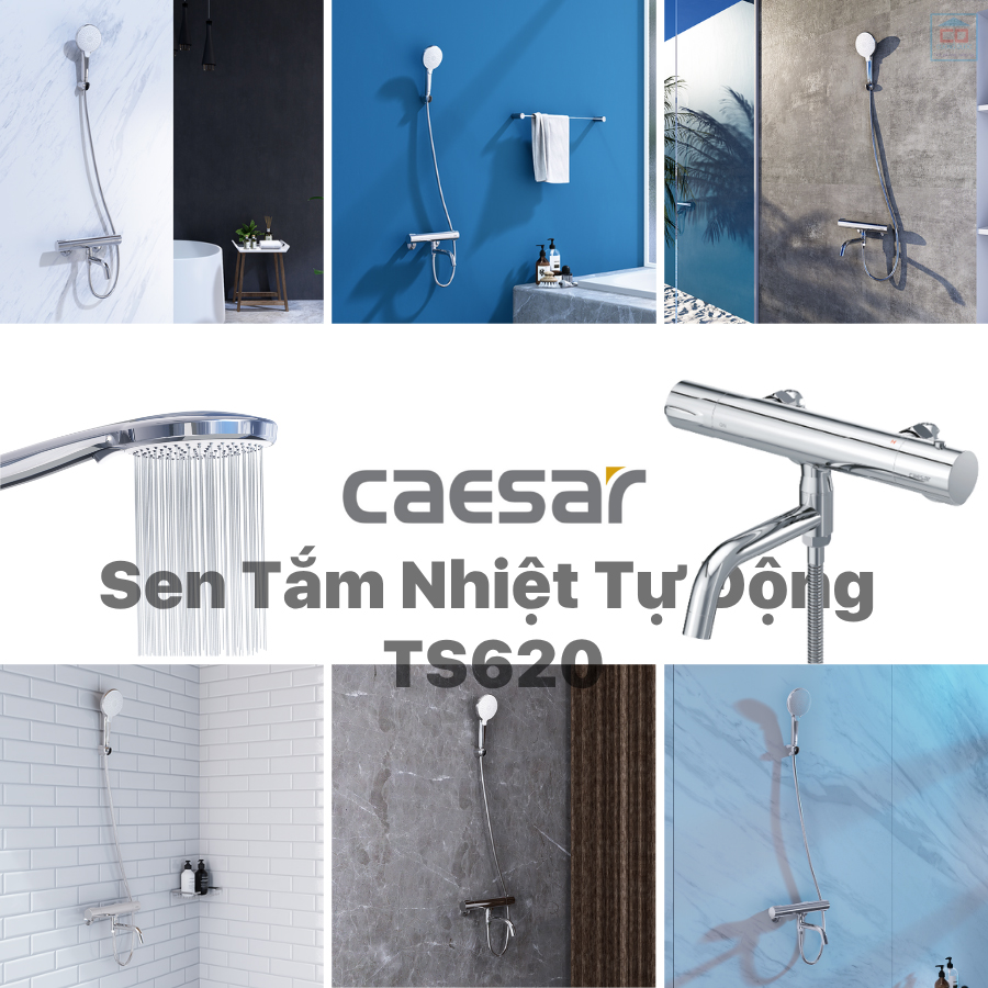 Sen tắm nhiệt tự động Caesar TS620
