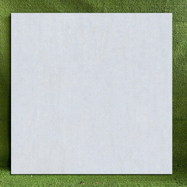 Viglacera ASD 8819GM