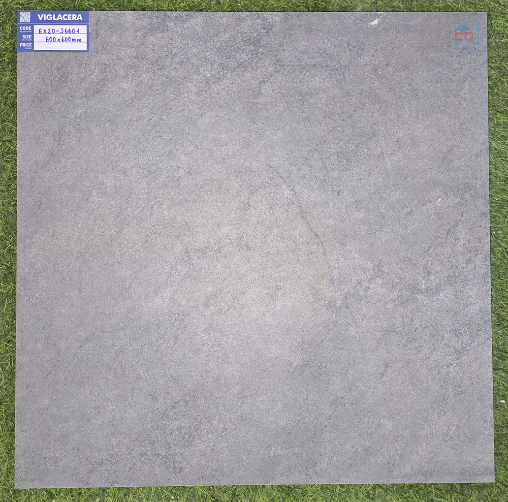 Gạch 60x60 Viglacera EX20-S6601