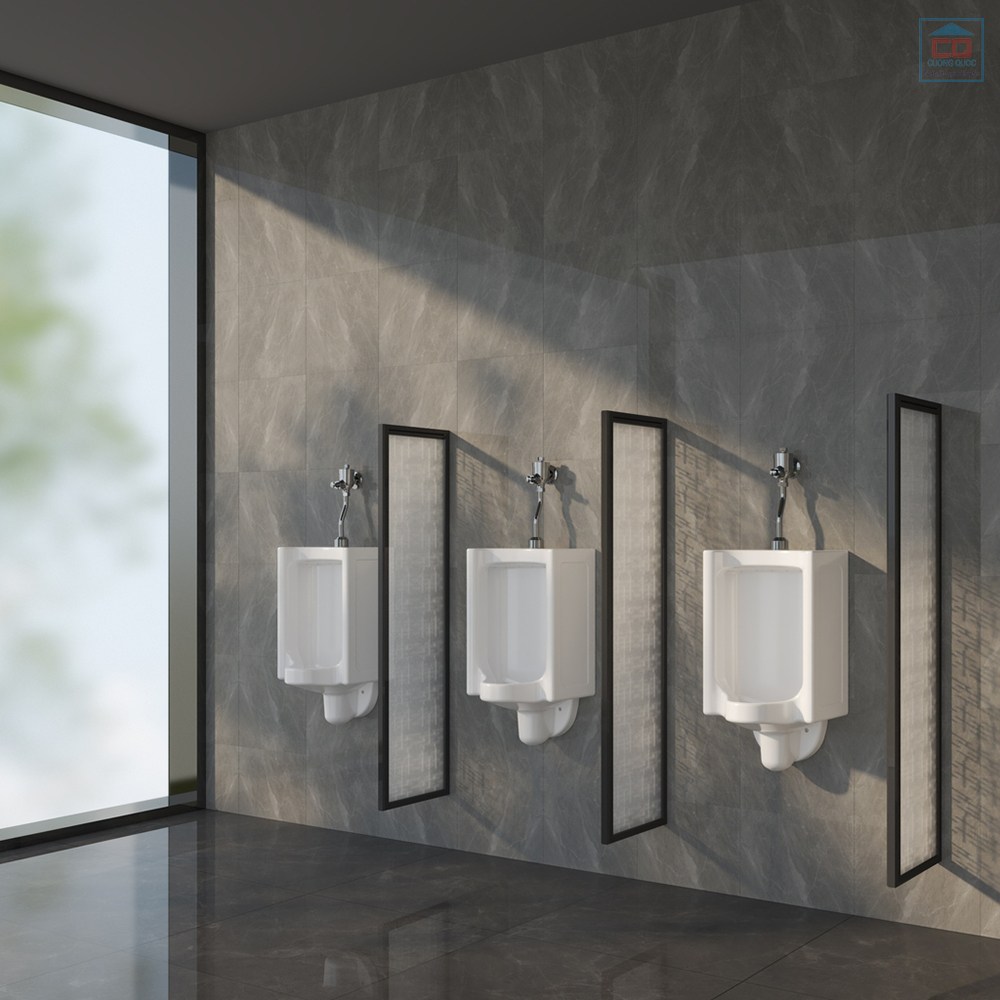Tiểu nam Viglacera TT5