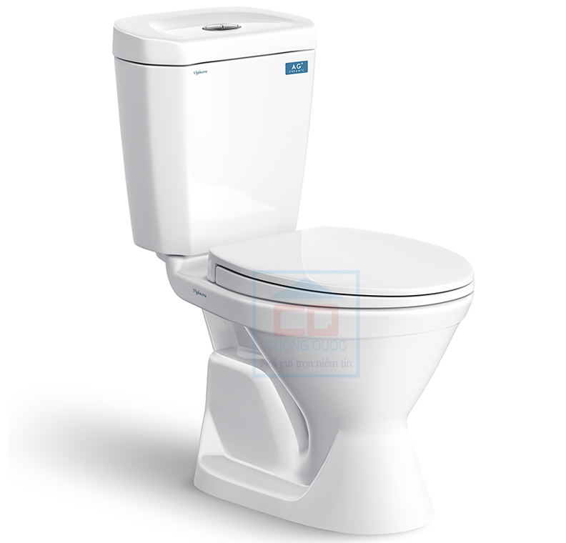Bồn cầu Viglacera VI66 nắp êm