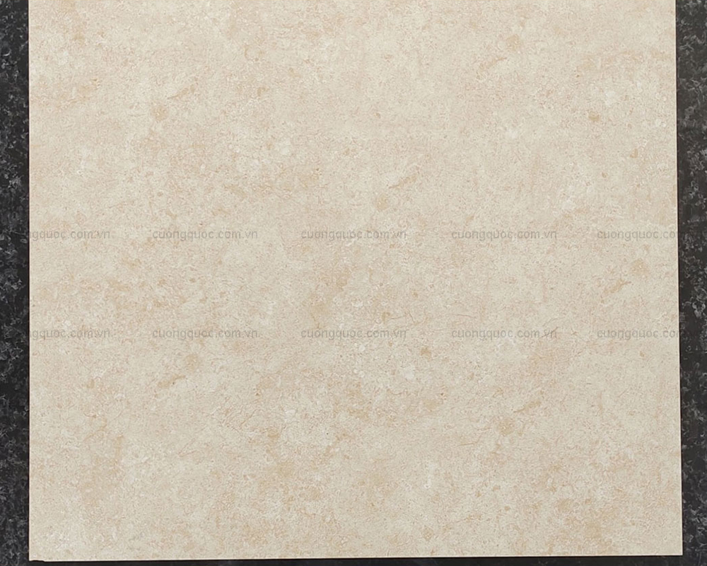 Gạch granite 600x600 Viglacera ECO M622