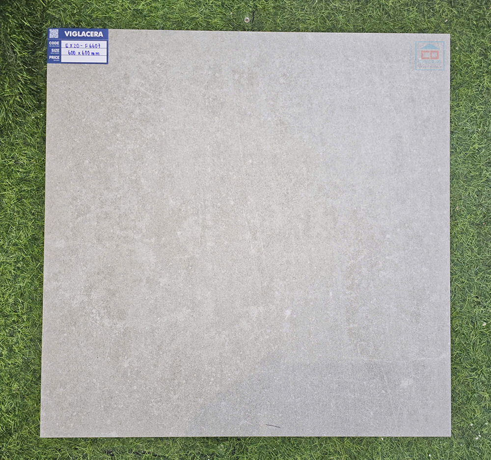 Gạch 60x60 Viglacera EX20-F6607