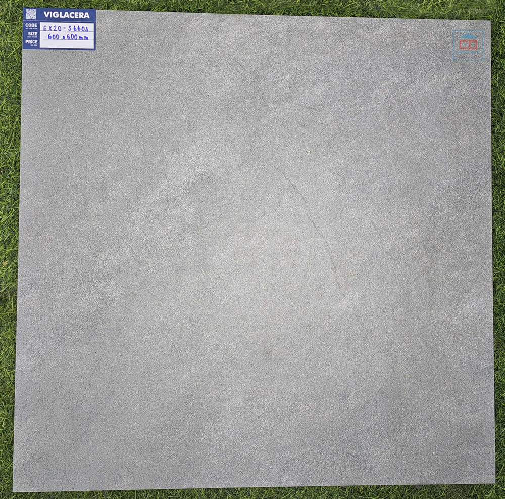 Gạch 60x60 Viglacera EX20-S6603