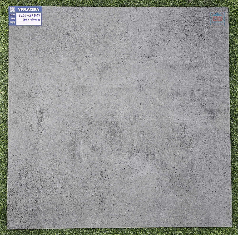 Gạch dày 20 mm Viglacera EX20-CBF6609