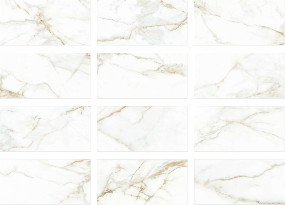 Face gạch Viglacera TGP3602