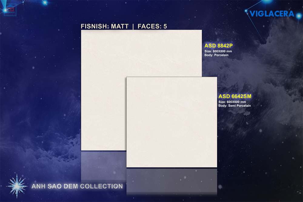 Gạch Viglacera ASD 6642SM