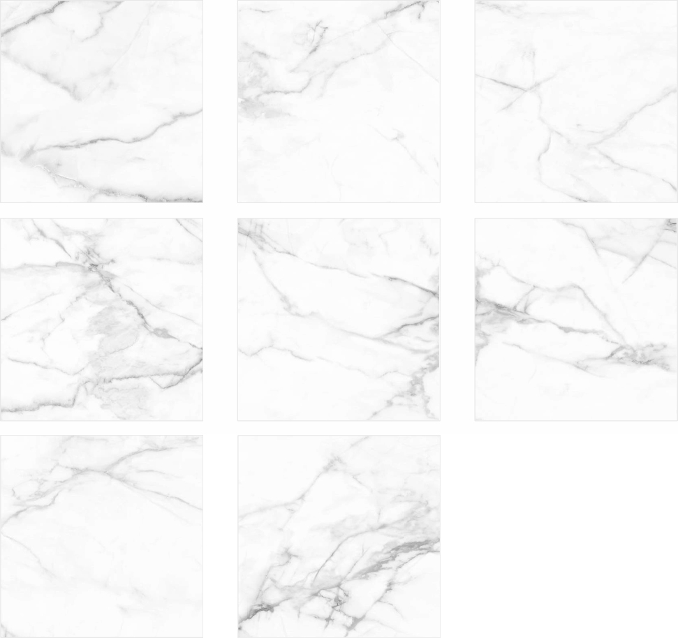Face gạch Viglacera TGP6601