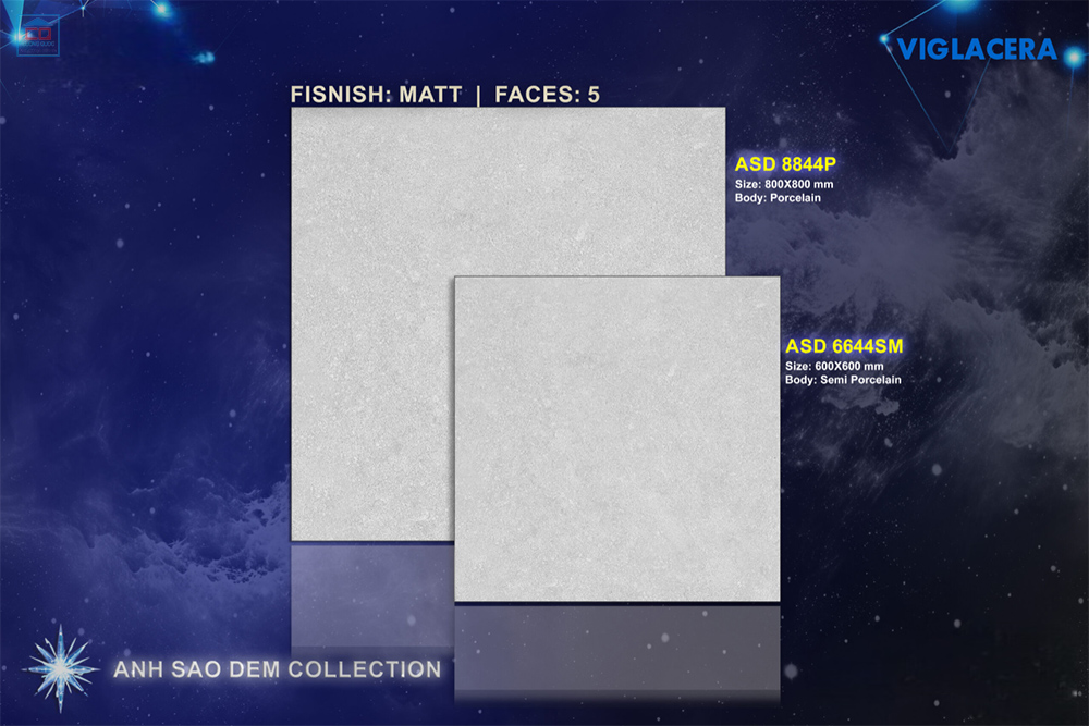 Gạch Viglacera ASD 6644SM