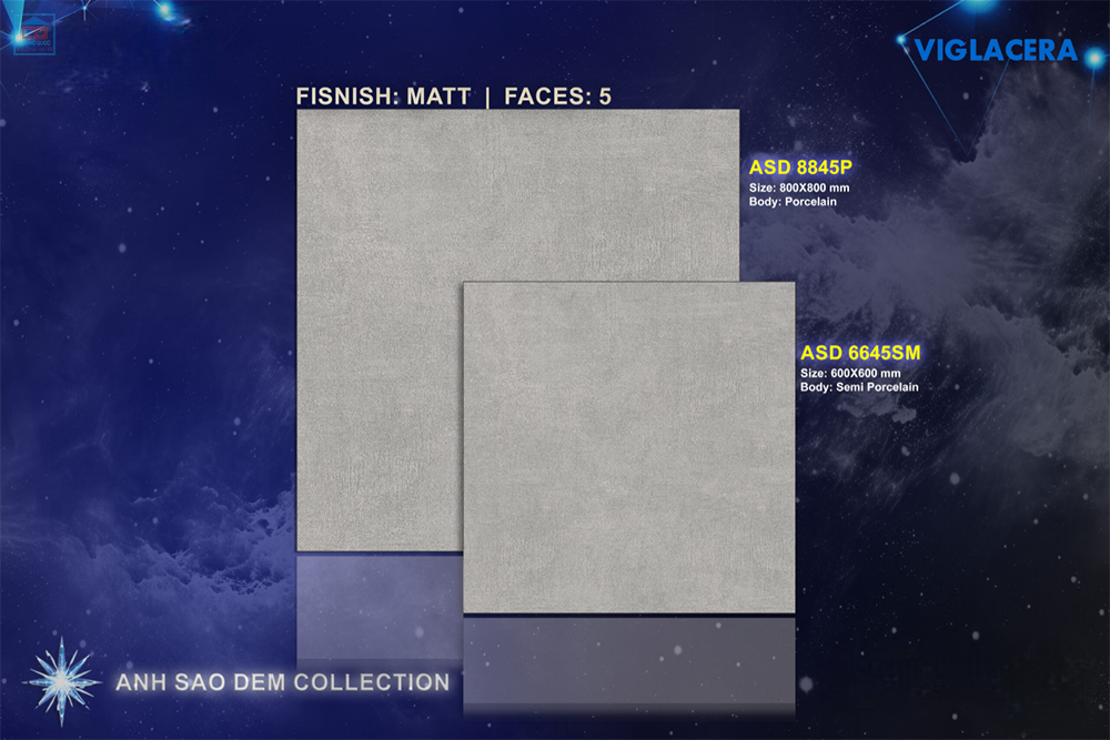 Gạch Viglacera ASD 6645SM