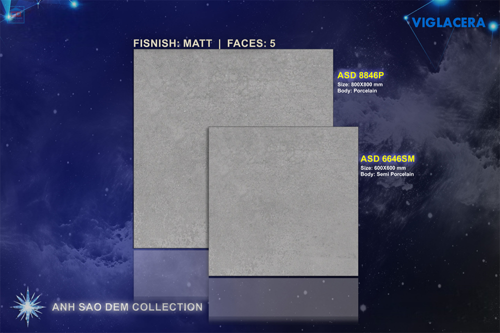 Gạch Viglacera ASD 6646SM