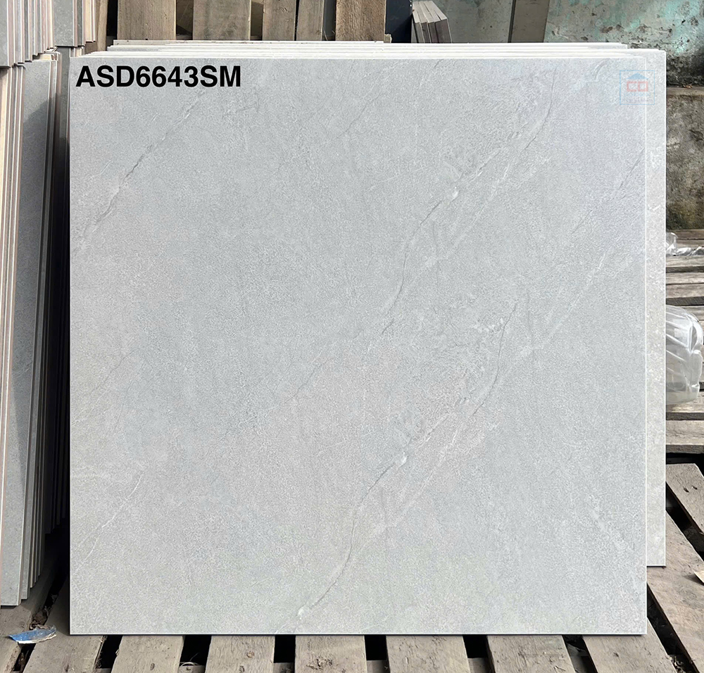 Viglacera ASD 6643SM