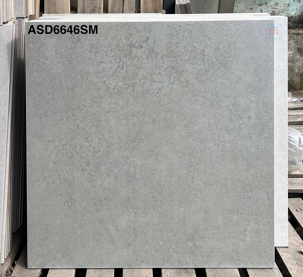 Viglacera ASD 6646SM