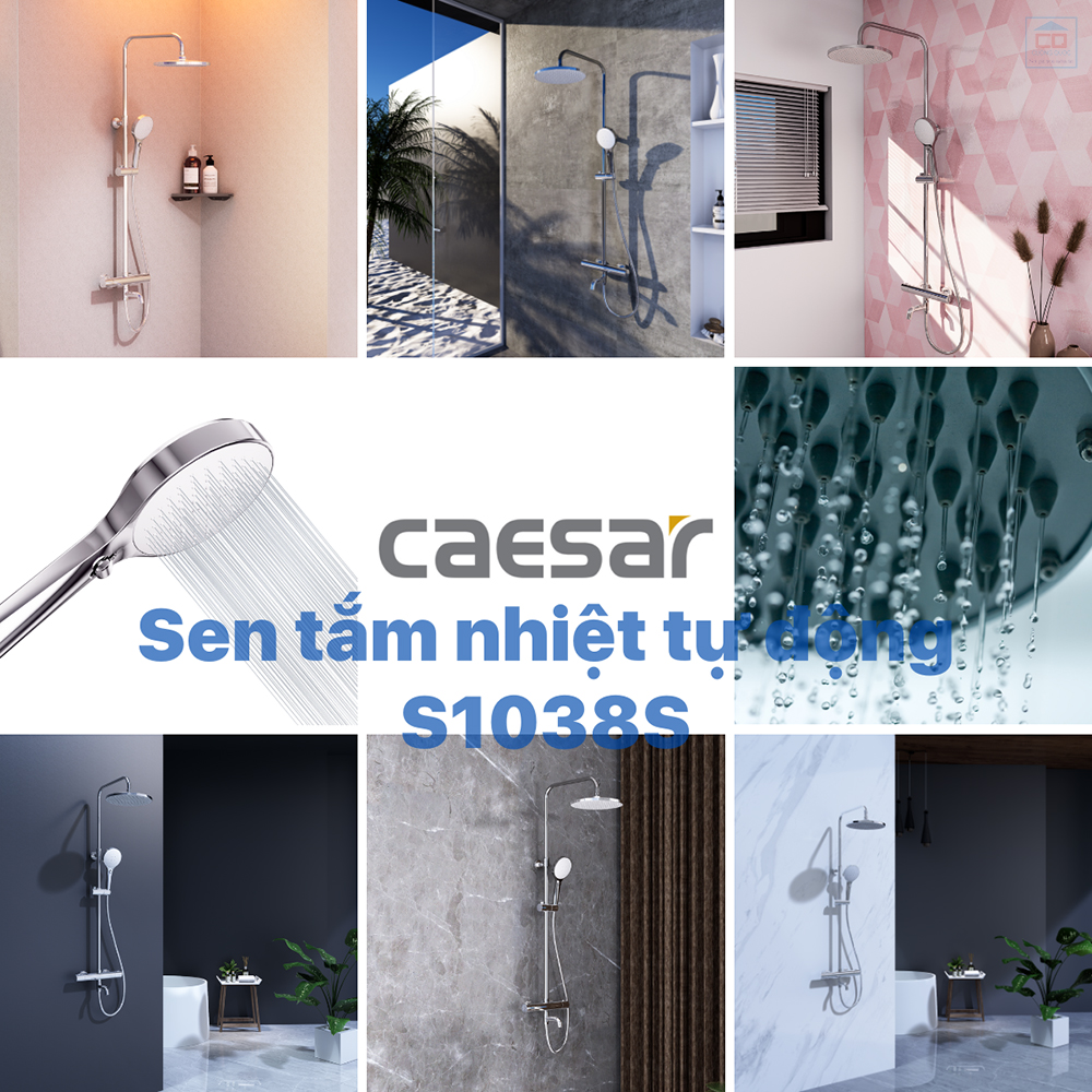 Sen cây tắm Caesar S1038S