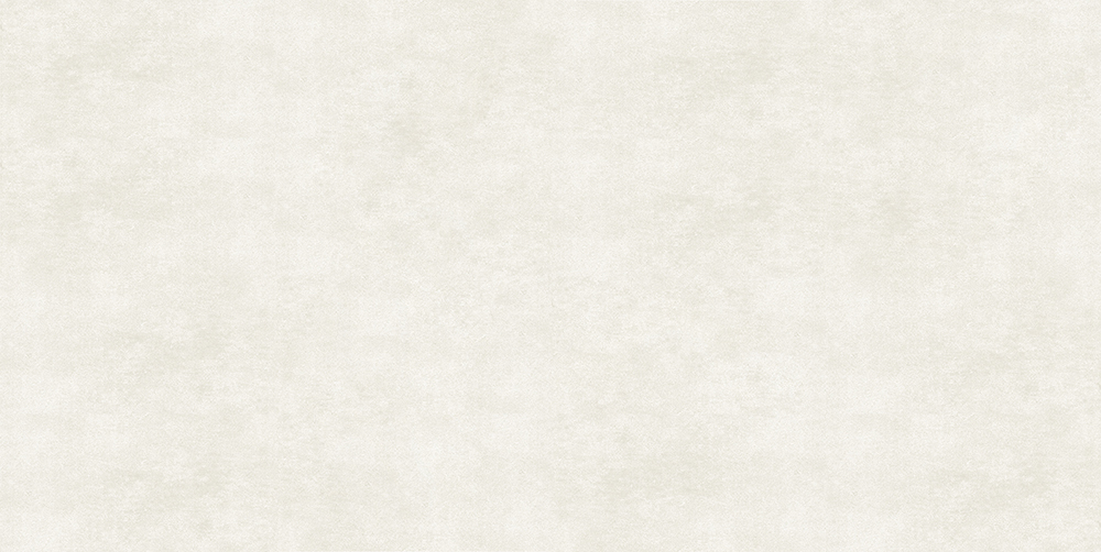 Gạch 1200x2400 mm Eurotile LHA X01M