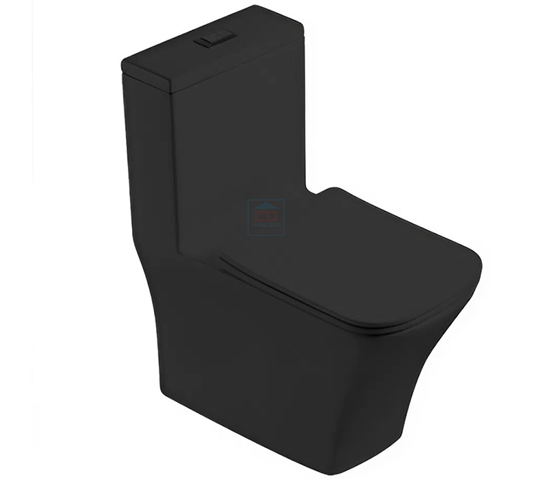 Bồn cầu 1 khối Basic Cara-B