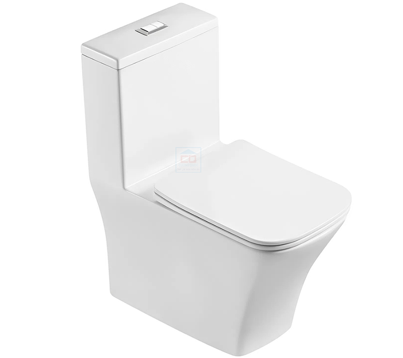 Bồn cầu 1 khối Basic Cara