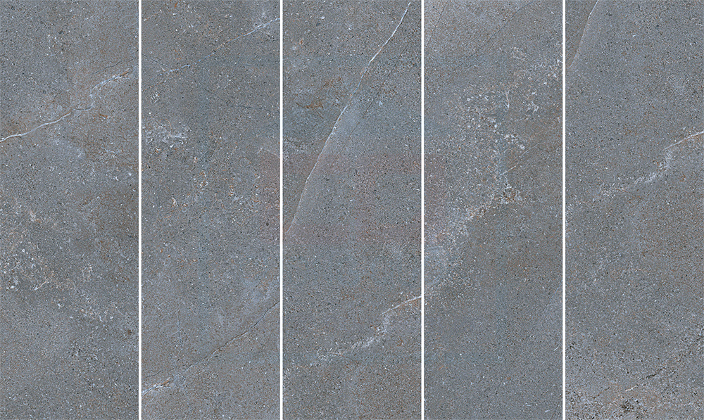 Gạch ốp lát granite Eurotile EU-NGC-D03