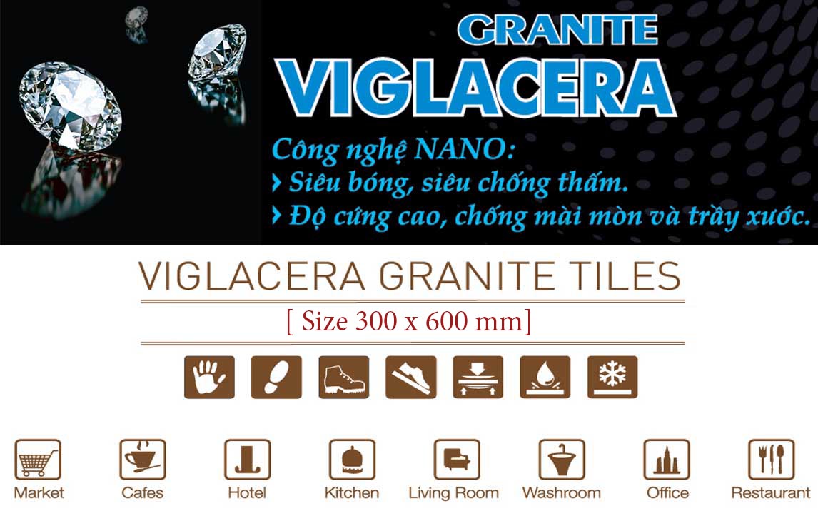 Gạch Viglacera TS5-3636