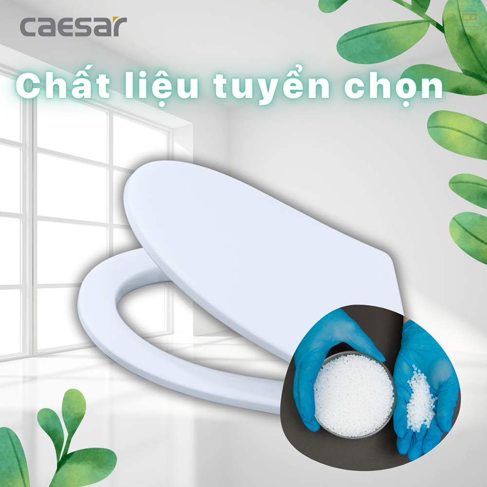 Nắp bệt Caesar M260