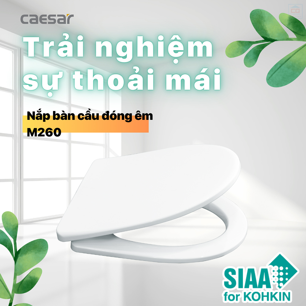 Nắp bàn cầu Caesar M260