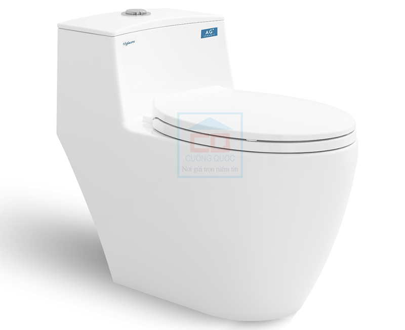 Bồn cầu 1 khối Viglacera Eco 1