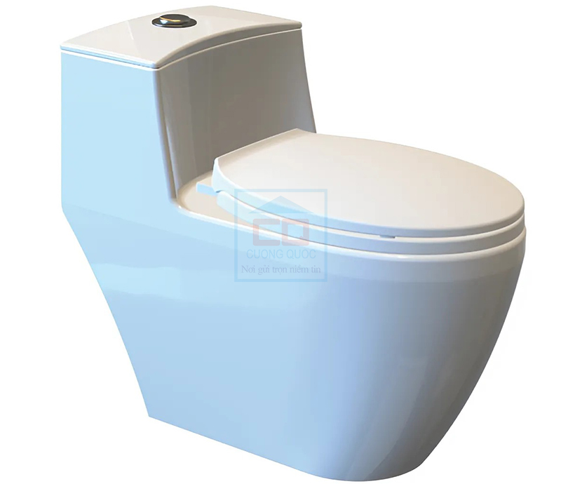 Bồn cầu két liền Viglacera Eco 1