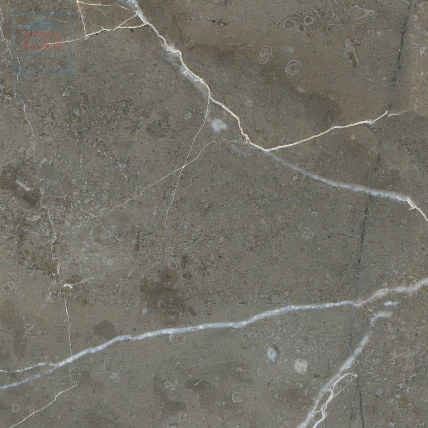 Gạch lát nền Viglacera 600x600 ECO-T604
