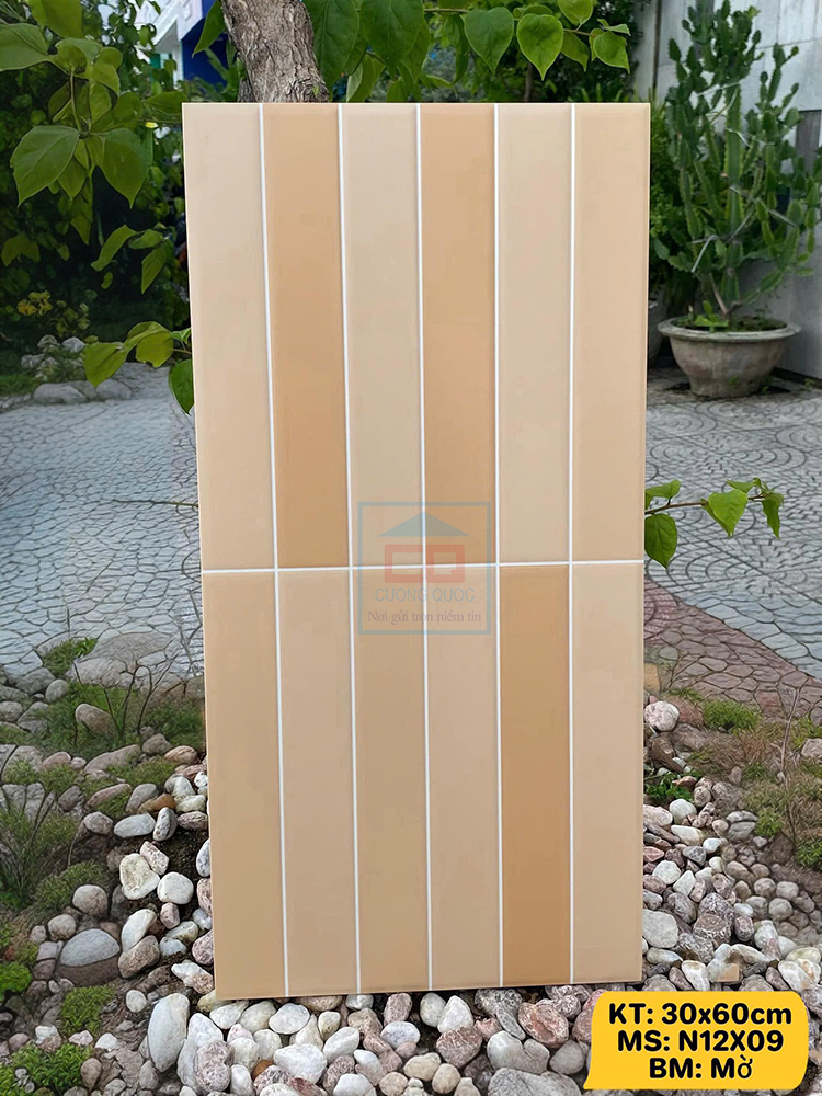 Gạch ceramic 30x60cm N12X09