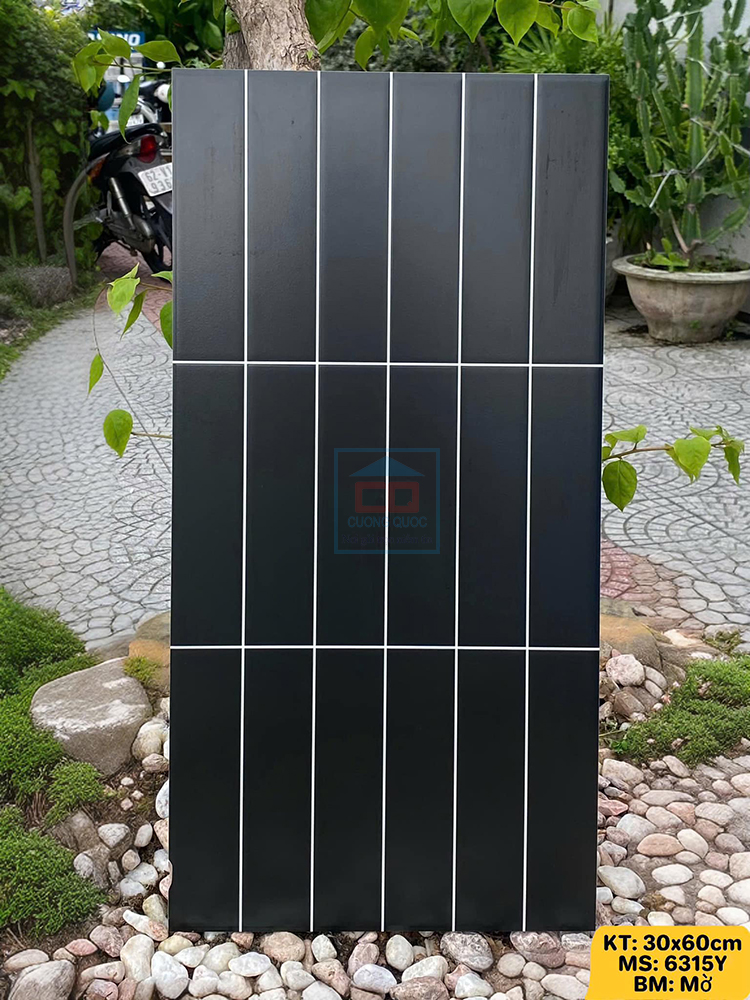 Gạch ceramic 30x60cm 6315Y