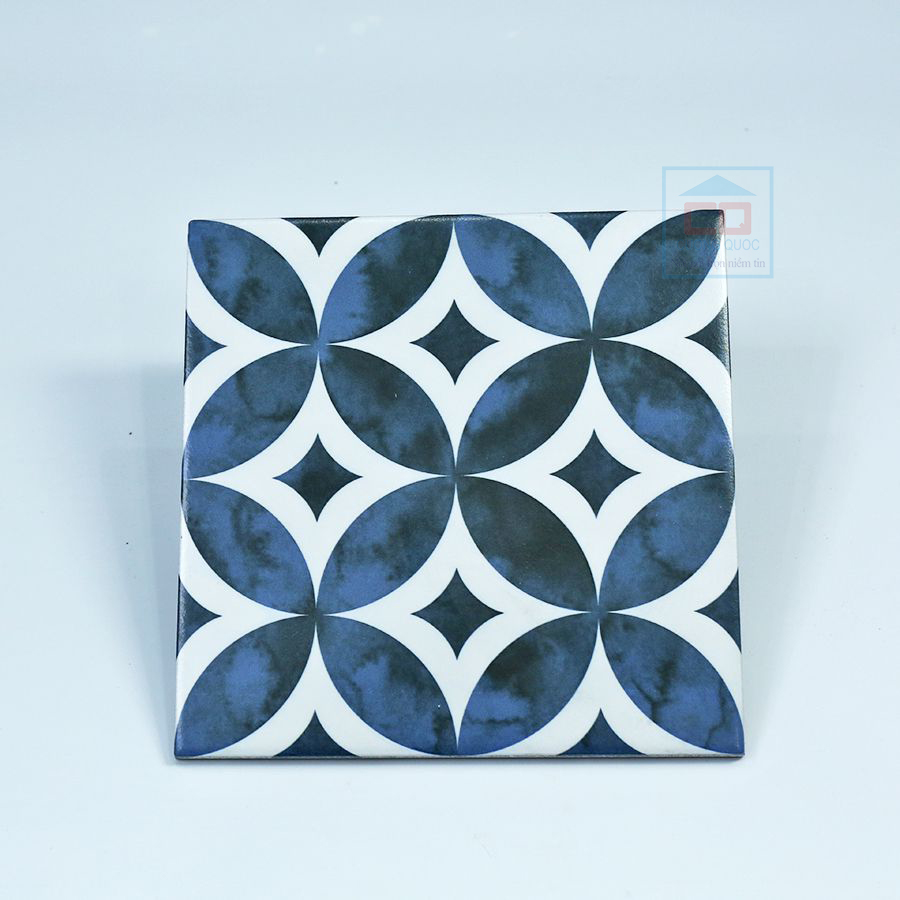 Gạch bông Đại Sàn DS2901