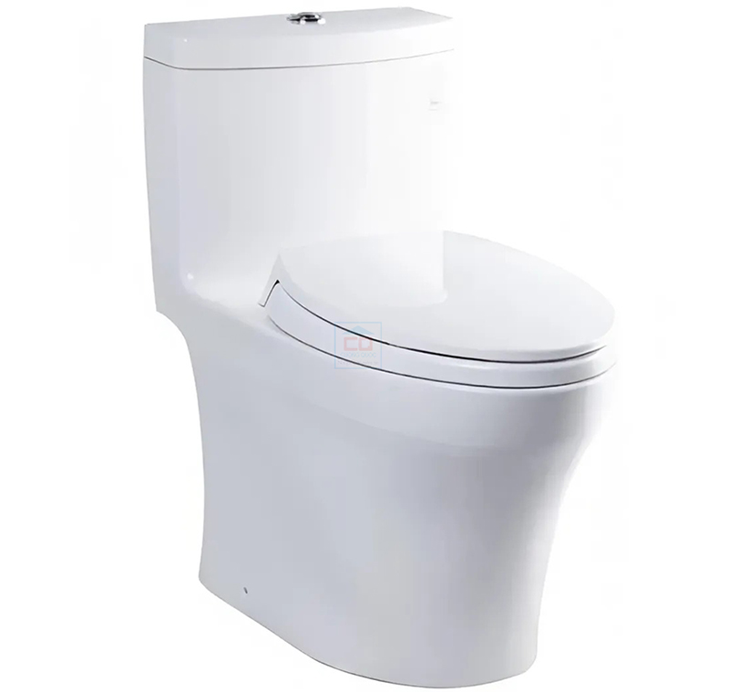 Bồn cầu 1 khối TOTO MS889DRT2