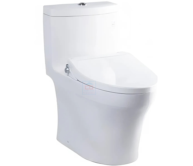 Bồn cầu nắp rửa cơ TOTO MS889DRE2