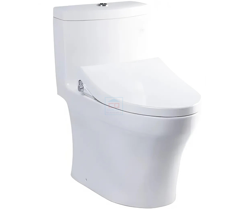 Bồn cầu nắp rửa cơ TOTO MS889DRE4