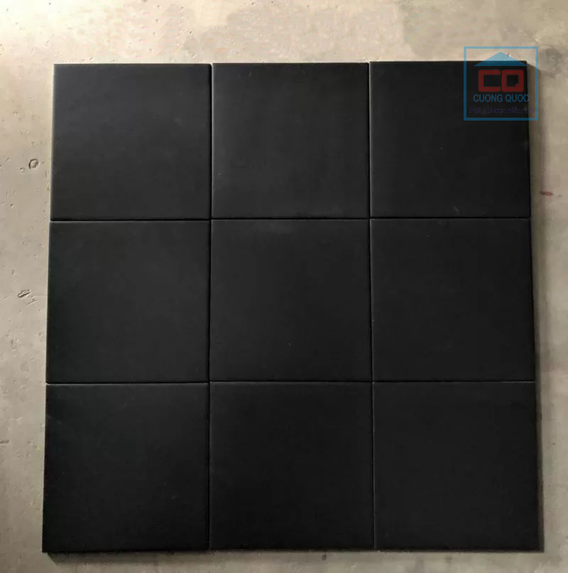 Gạch b&ocirc;ng NT2207