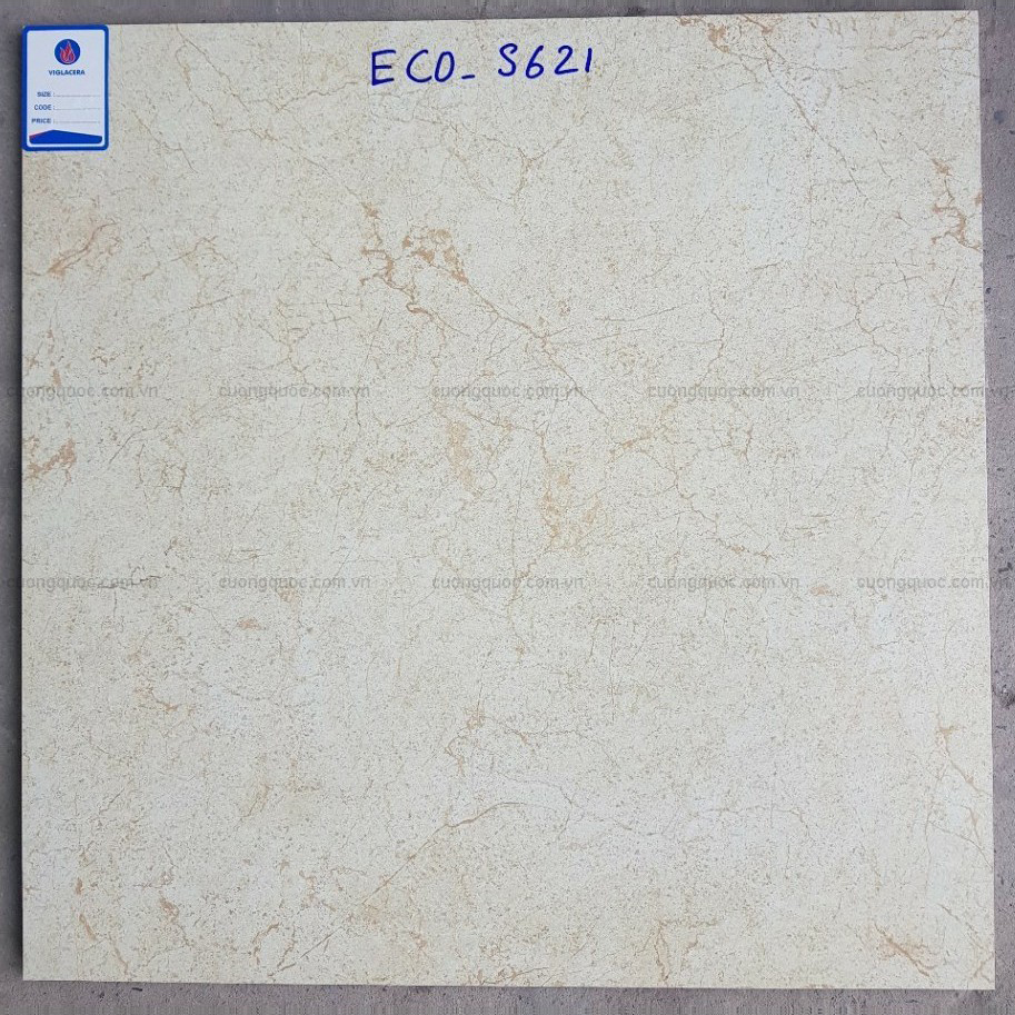 Gạch granite 600x600 Viglacera ECO S621