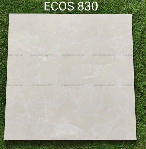 Gạch granite vân đá Viglacera ECO S830