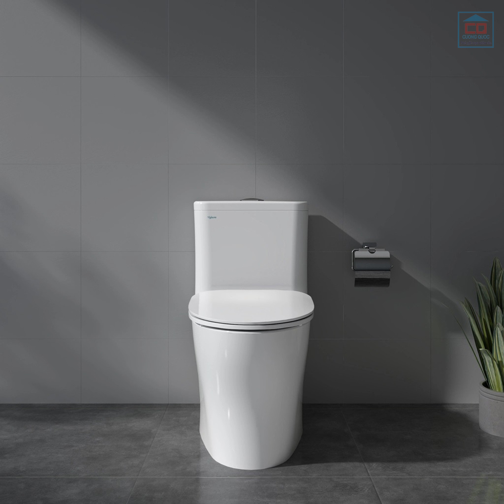 B&agrave;n cầu 1 khối Viglacera V63