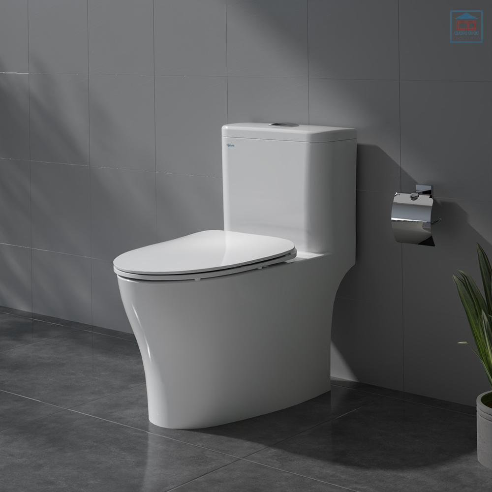 Bồn cầu Viglacera V63