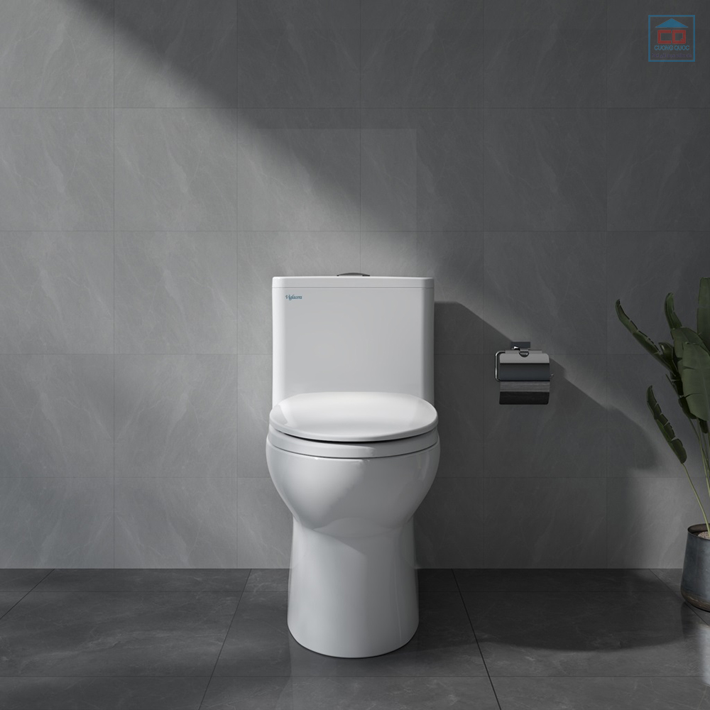 B&agrave;n cầu liền khối Viglacera V64