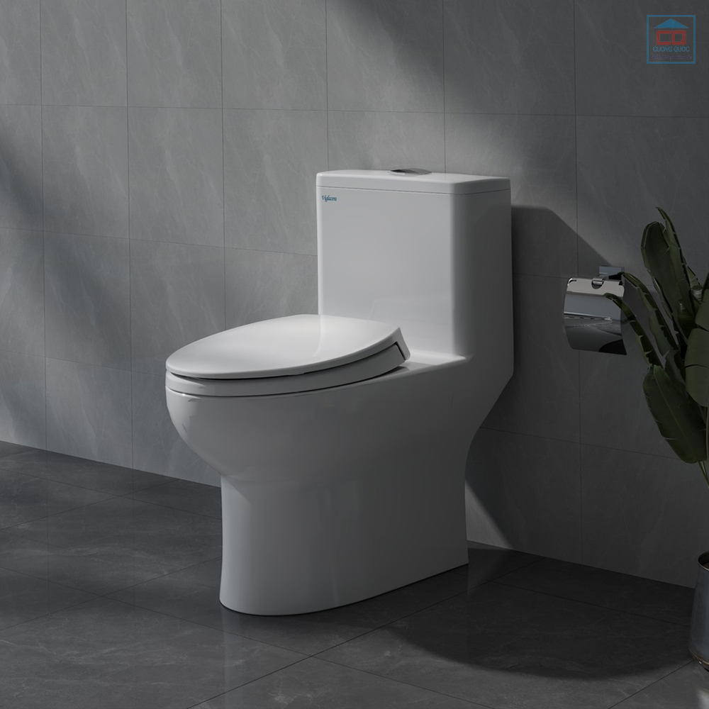 Bồn cầu Viglacera V64