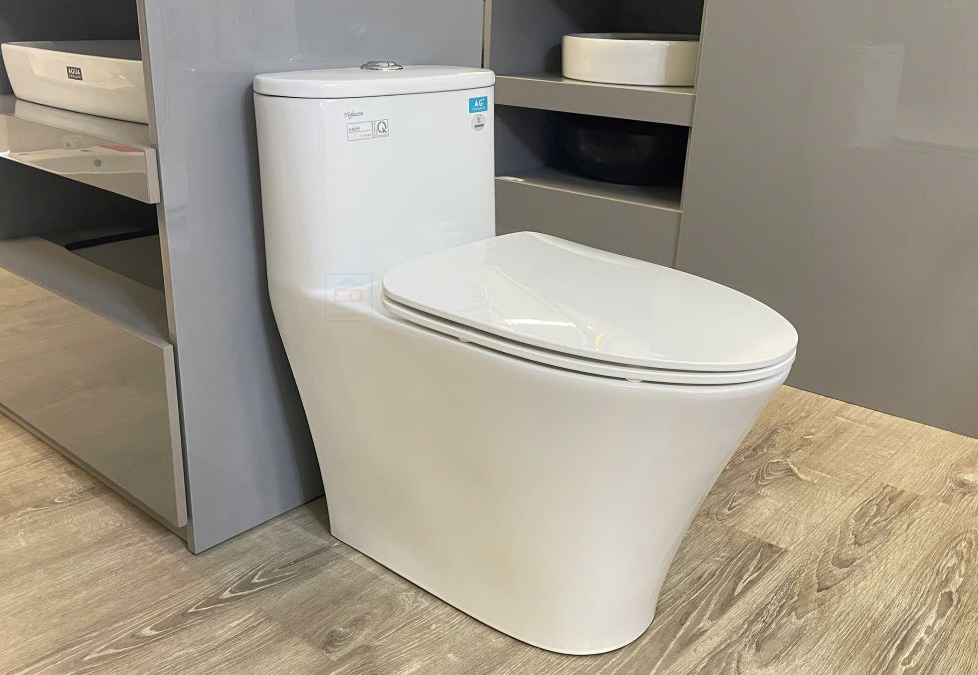 Bồn cầu Viglacera V829