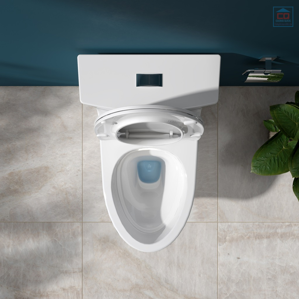 B&agrave;n cầu liền khối Viglacera HL2